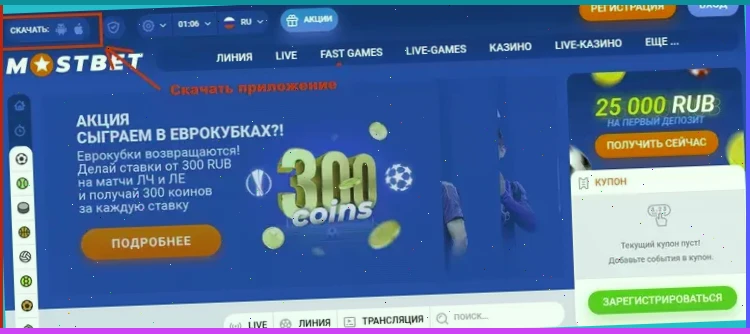 betgames tv olimp ставки